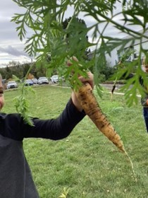 Sept Learning Garden 3